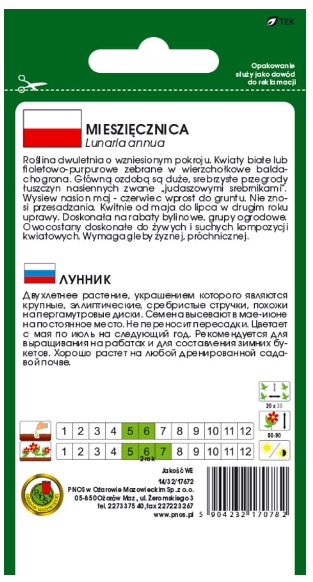 Miesięcznica miesiącznica - Występuje również w odmianie o białych kwiatach.