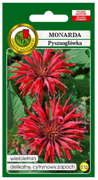 Monarda pysznogłówka to oryginalne kwiaty, wyśmienite do naturalnych dzikich