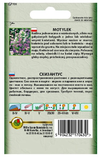 Motylek schizantus - nasiona kwiatów