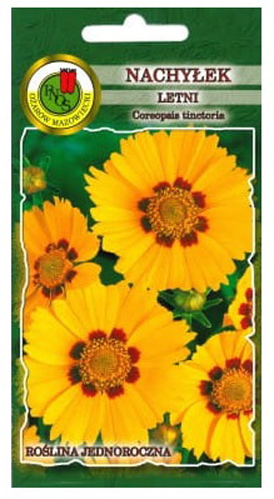 Nachyłek letni mix to roślina zwarta o rozgałęzionej, sztywnej łodydze i pierzastych liściach.