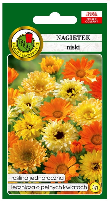 Nagietek niski to roślina lecznicza, jednoroczna o krzaczastym pokroju, ma grube silnie rozgałęzione pędy, z pachnącymi liśćmi.
