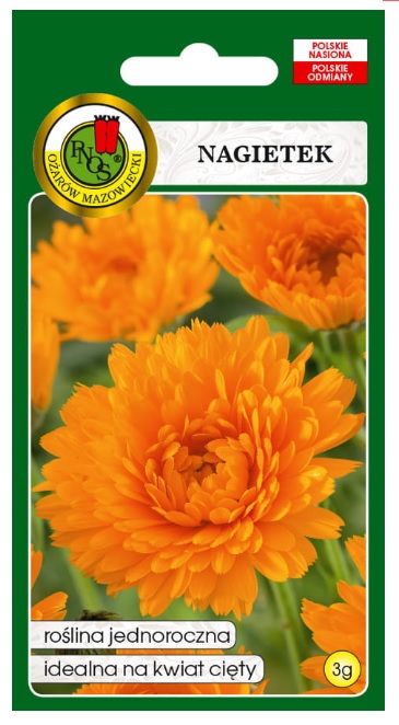 Nagietek pomarańczowy to roślina lecznicza, jednoroczna o krzaczastym pokroju, ma grube silnie rozgałęzione pędy, z pachnącymi liśćmi.