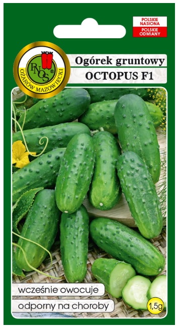 Ogórek Octopus to odmiana średnio wczesna.