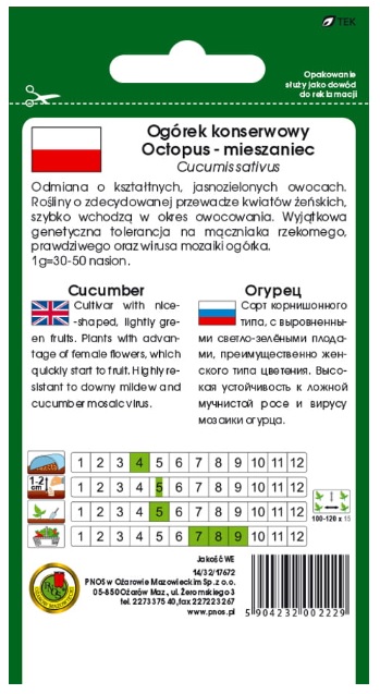 Odmiana Octopus to doskonały surowiec do kwaszenia i konserwowania.