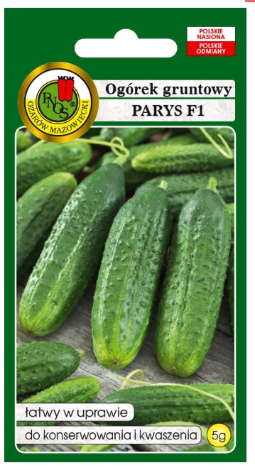 Ogórek Parys to owoce dłuższe od np. odmiany Polan F1, czy Aladyn F1, zielone z jasnymi smugami z niewielką ilością brodawek.
