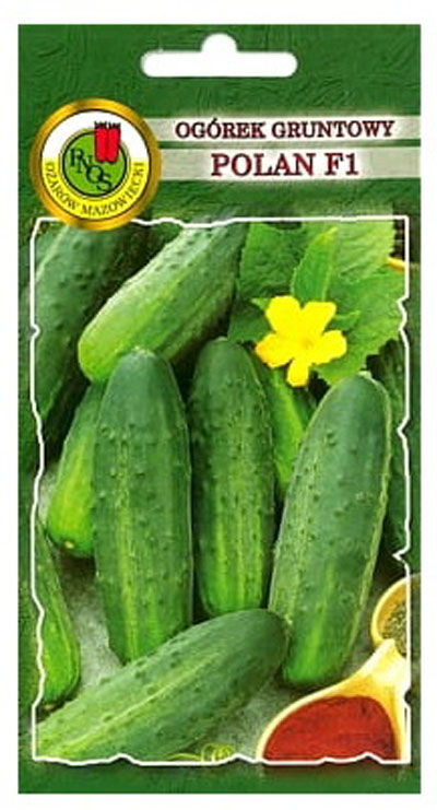 Ogórek Polan to odmiana średnio wczesna.