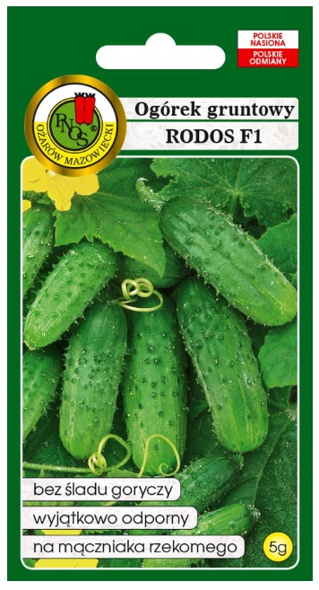 Ogórek gruntowy Rodos to odmiana średnio wczesna, przeznaczona na korniszony.