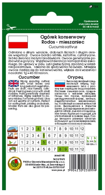 Ogórek gruntowy Rodos to rośliny o silnym wzroście, drobnych liściach i długim okresie wegetacji.