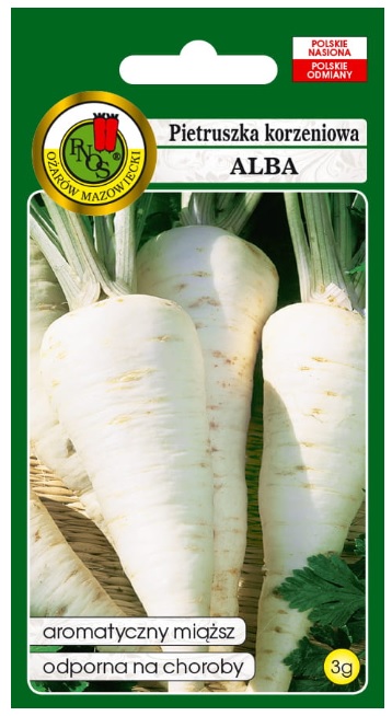 Pietruszka korzeniowa Alba to odmiana średnio późna.