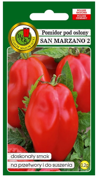 Pomidor San Marzano to odmiana średnio wczesna.
