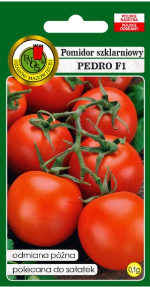 Pomidor szklarniowy Pedro dobrze się przechowują, nie pękają.