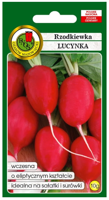 Rzodkiewka Lucynka o kulisto-eliptycznym kształcie zgrubienia korzeniowego barwy karminowej, jednolitej na całej powierzchni.