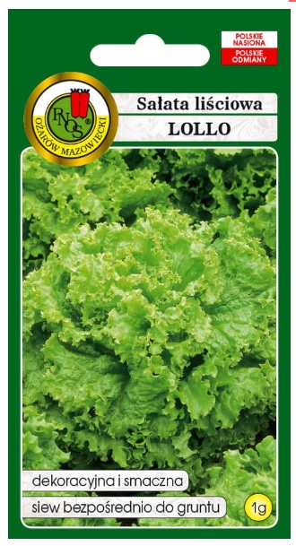 Sałata Lollo to sałata kędzierzawa o liściach jasnozielonych, rozeta liści rozłożysta.