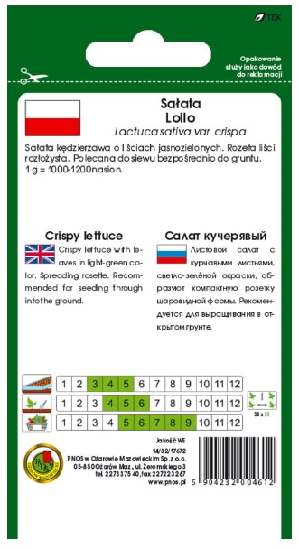 Sałata liściowa Lollo. Polecana do siewu bezpośrednio do gruntu.