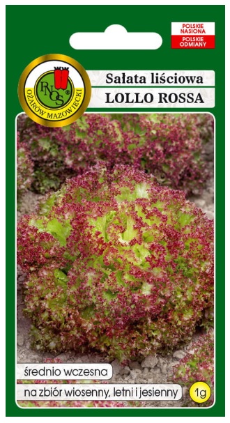 Sałata Lollo Rosa to sałata kędzierzawa o liściach zielono-czerwonych.