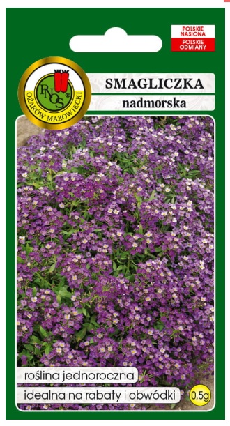 Smagliczka nadmorska fioletowa to roślina o fioletowych kwiatach oraz przyjemnym, miodowym zapachu. Zakwita powtórnie po przycięciu.