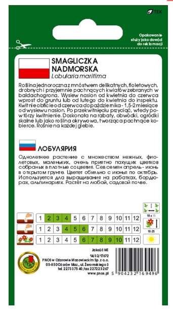 Smagliczka nadmorska fioletowa - nasiona kwiatów