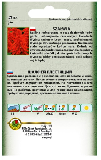 Szałwia błyszcząca czerwona - nasiona kwiatów