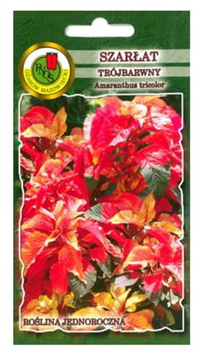 Szarłat trójbarwny Molten Fire to roślina o sztywnych, wzniesionych pędach. Liście duże, łukowato wygięte lub fantazyjnie powyginane.