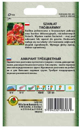 Szarłat trójbarwny Molten Fire - nasiona kwiatów