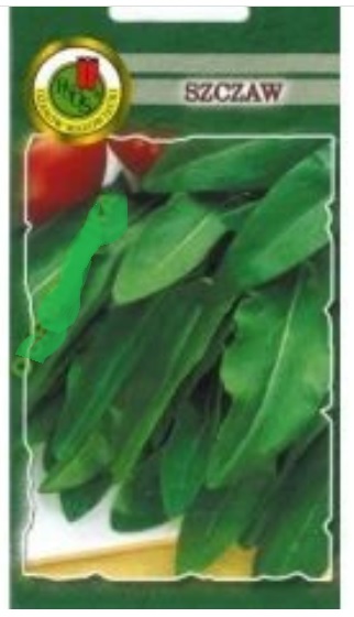 Szczaw Szczaw może rosnąć na stanowiskach zacienionych, ale do prawidłowego rozwoju potrzebuje dostatecznego dostępu światła.