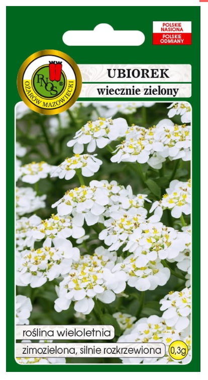 Ubiorek wiecznie zielony biały jest bardzo lubianą kwitnącą wiosną rośliną. Często możemy dostrzec jej kaskady w ogrodach skalnych i przy murkach.