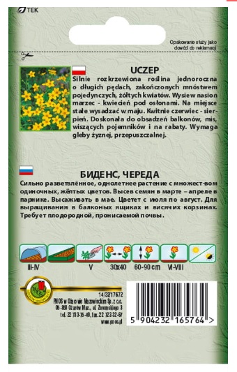 Uczep żółty - nasiona kwiatów