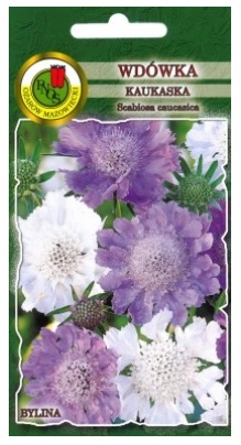 Wdówka drakiew Kaukaskai to roślina wieloletnia o wzniesionych, pojedynczych lub słabo rozgałęzionych łodygach i lancetowatych liściach.