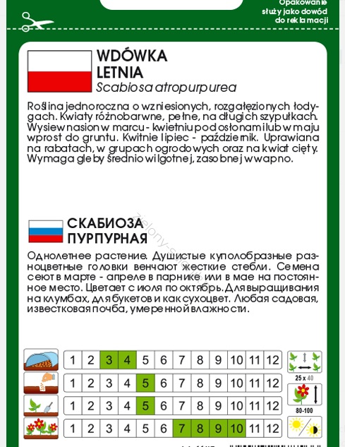 Wdówka drakiew letnia - Różnokolorowe kwiaty zebrane w główkowate kwiatostany, osadzone na długich łodygach. Ładnie będzie wyglądać w towarzystwie kosmosów, astrów chryzantemowych i gipsówki.