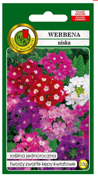 Werbena niska mieszana to roślina o silnie rozgałęzionych płożących się pędach i różnobarwnych kwiatach...