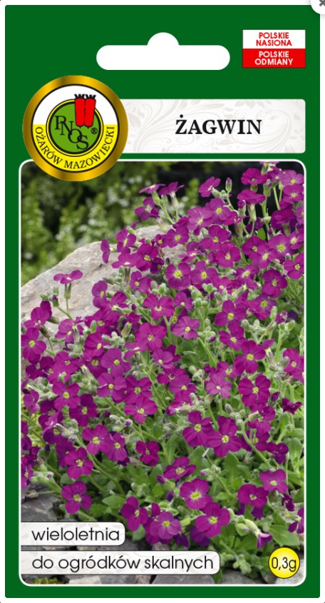 Żagwin mieszany to bylina wieloletnia pochodząca z Europy Południowej i Azji Mniejszej.