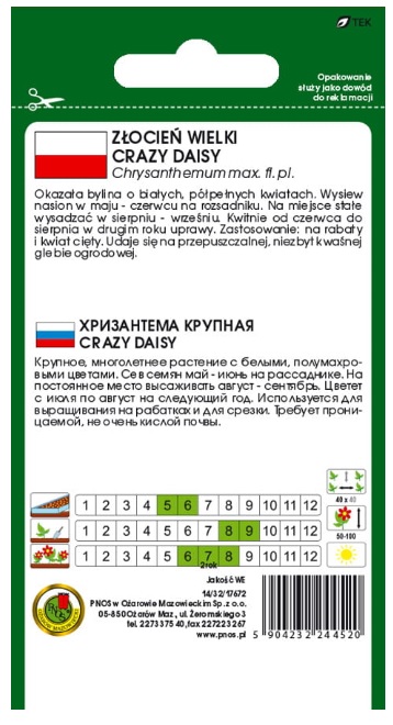 Złocień wielki Crazy Daisy biały to roślina wieloletnia o prostych, wzniesionych łodygach i ciemnozielonych, lancetowatych, ząbkowanych liściach.