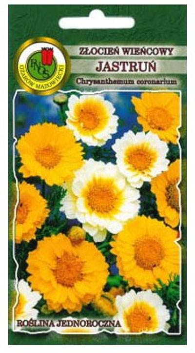 Złocień wieńcowy jastruń to silnie rozkrzewiona roślina o wysokich grubych, łodygach i pierzastych liściach.