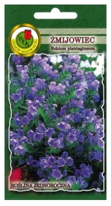 Żmijowiec niebieski to roślina jednoroczna, miododajna i ozdobna – na rabaty w ogrodach skalnych i ogrodach naturalistycznych.