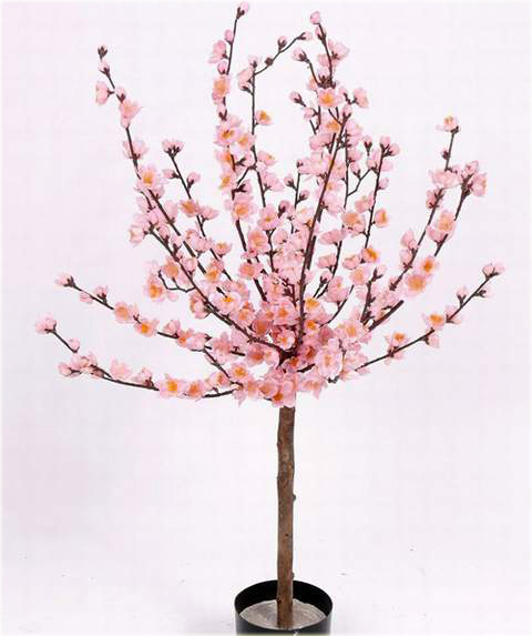 Migdałowiec trójklapowy na paliku Prunus triloba