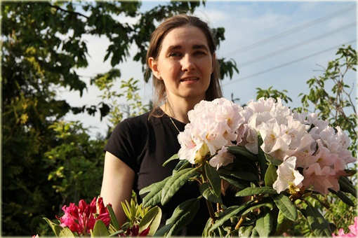 Rododendron wielkokwiatowy Eskimo - Rhododendron Eskimo